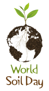 wsdlogo_medium-01-163x300 